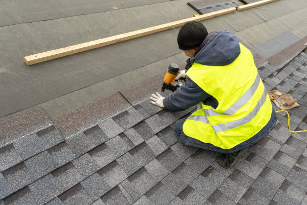 Best Local Roofing Companies  in Taylorvle, IL