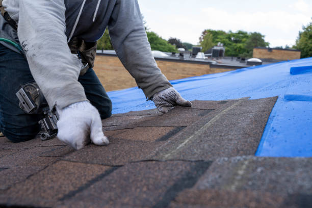 Roof Installation Near Me in Taylorville, IL