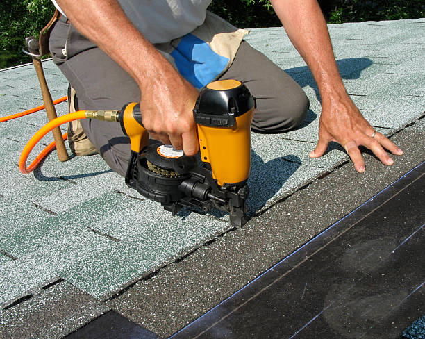 Best Roof Gutter Cleaning  in Taylorvle, IL