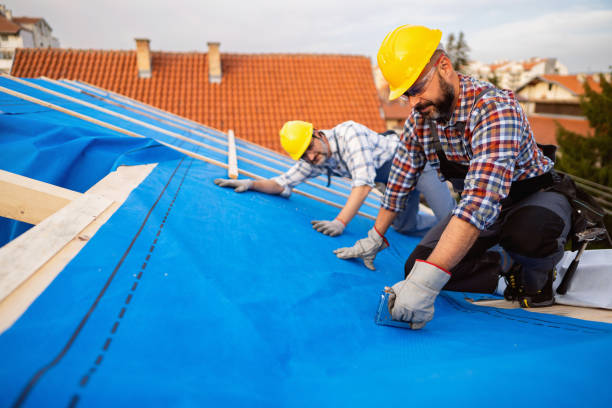Best Flat Roof Repair Services  in Taylorvle, IL