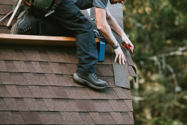 Best Roof Maintenance Services  in Taylorvle, IL